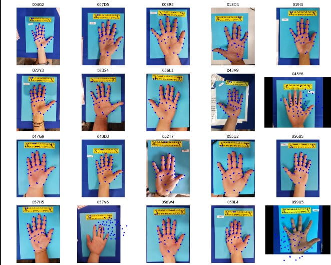 AI Hand Landmarking